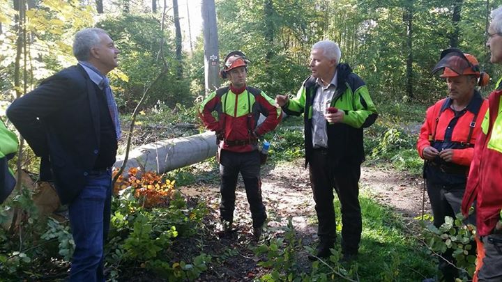 Thueringenforst - Possenwald 01